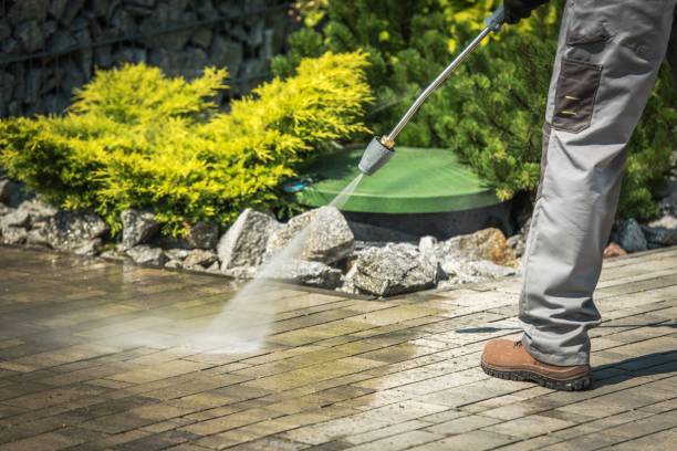 Best Pre-Holiday Cleaning  in Cranford, NJ